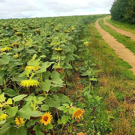 בית נופש French Countryside Near Paris! *