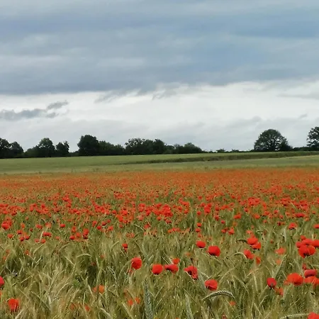 French Countryside Near Paris! *