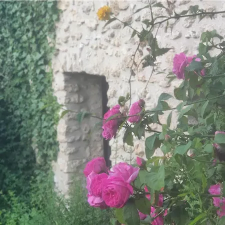 French Countryside Near Paris! Courcelles-les-Gisors