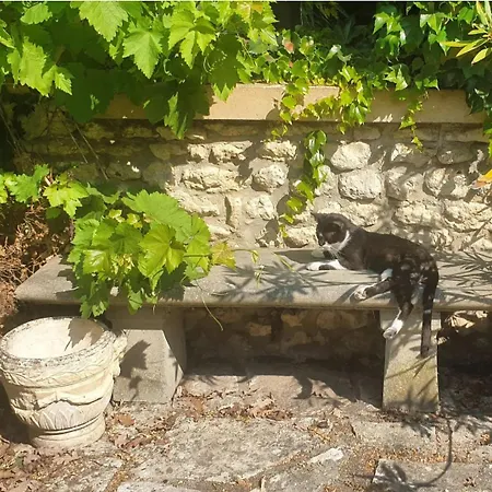 Hébergement de vacances French Countryside Near Paris! *